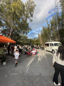 Brave The Chill Swimming In Orlando During December - bvrqauz