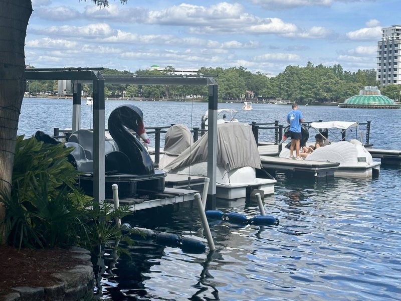 10 budget friendly things to do in Orlando