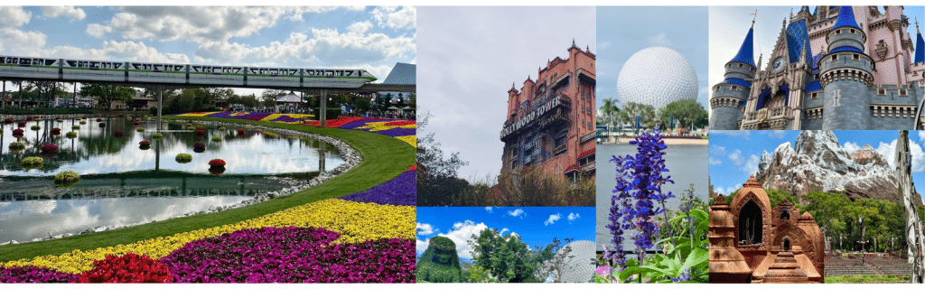 4 disney world parks