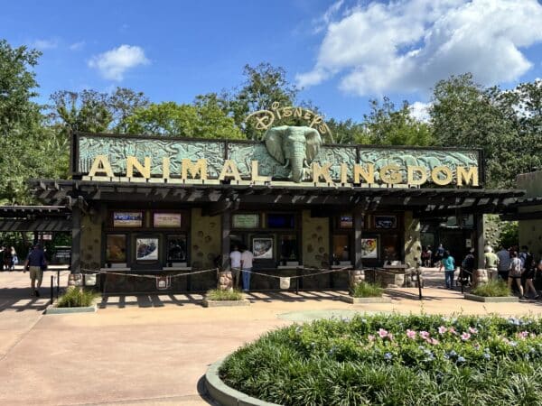 animal kingdom entrance sign