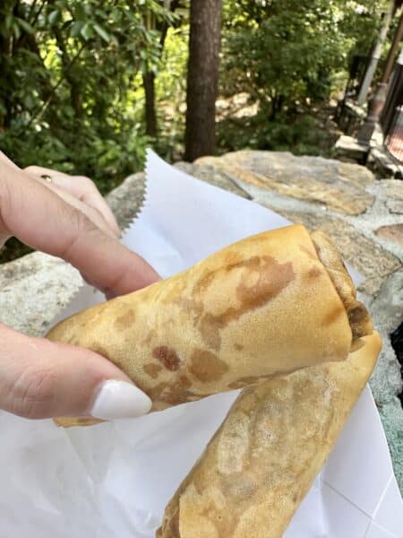 Adventureland spring rolls in magic kingdom