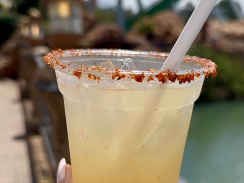 confisco's margarita at backwater bar in islands of adventure