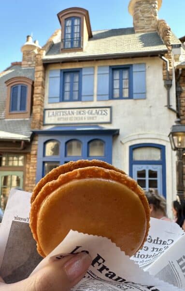 Pumpkin Macaron Ice Cream Sandwich