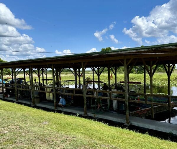 airboats at boggy creek