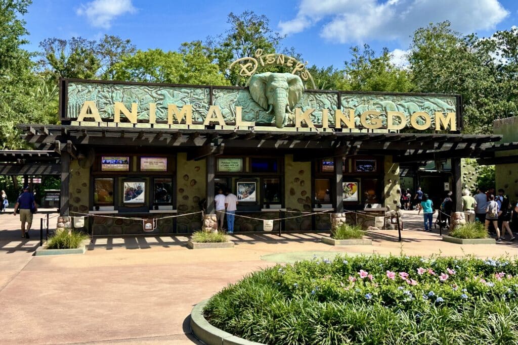 animal kingdom