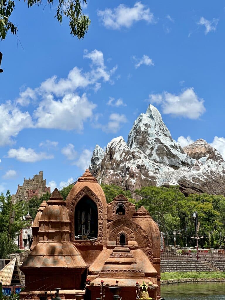 Expedition Everest animal kingdom