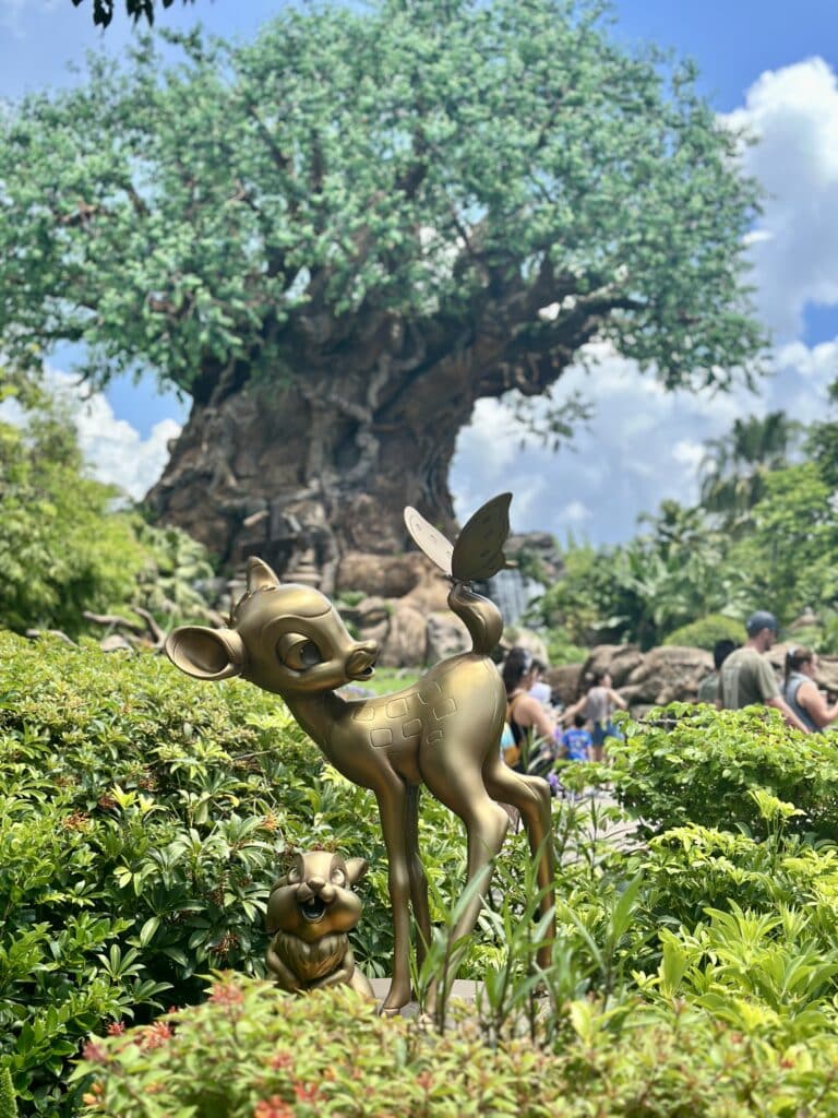 disney world animal kingdom
