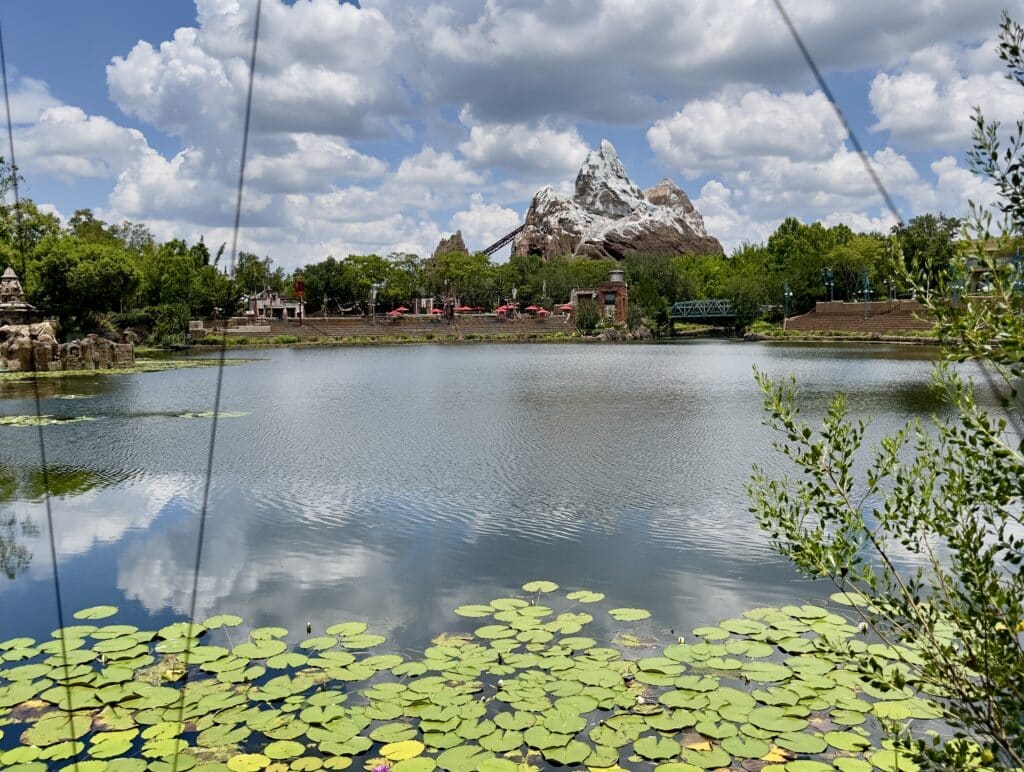 flame tree bbq seating views views of expedition Everest from flame tree bbq